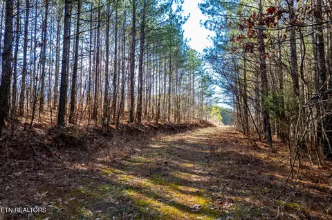 Lower Rockwood Rd, Rockwood, TN 37854