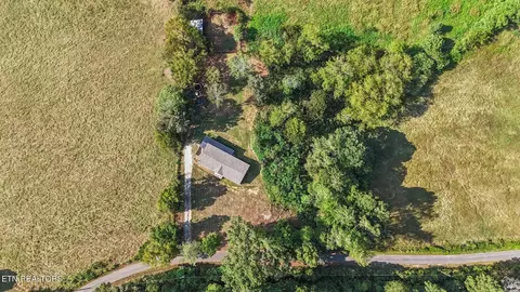View/Area - 650 Combs Rd, Rutledge, TN 37861 photo 3 of 8