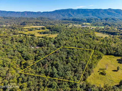 1903 Tree Tops Ln, Seymour, TN 37865
