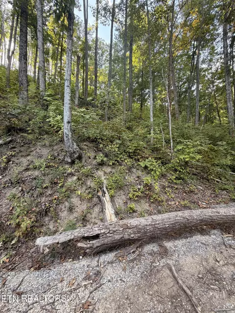 whipoorwill hill way, Sevierville, TN 37862