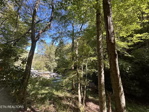 433 Steve Brown Rd, Bean Station, TN 37708