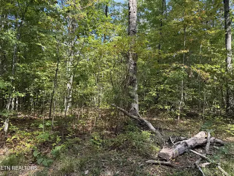 8 06 Ac Horse Creek Rd, Jamestown, TN 38556