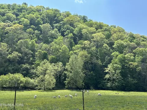 Trent Valley Rd, Sneedville, TN 37869