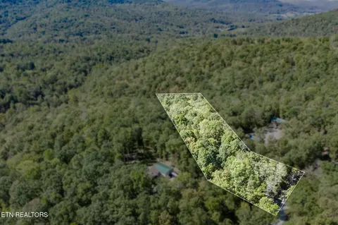 lot8 Buffalo Cove Ln, Jamestown, TN 38556