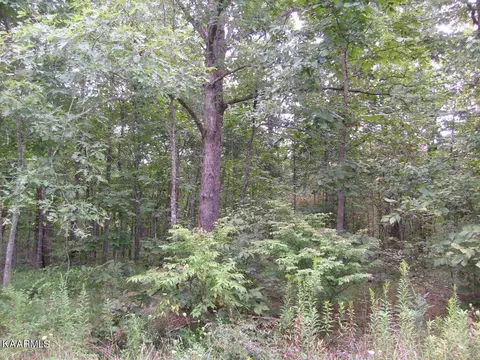 2023 Coweta Dr, Crossville, TN 38572