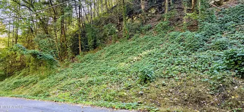 lot40 Black Walnut Flats Rd, Sevierville, TN 37862