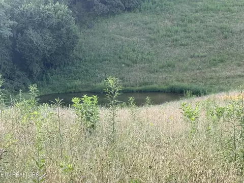 Other - 2961 Forge Ridge Rd, Harrogate, TN 37752 photo 10 of 13