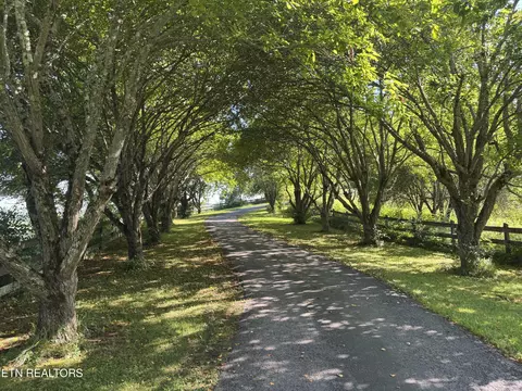 Other - 2961 Forge Ridge Rd, Harrogate, TN 37752 photo 13 of 13