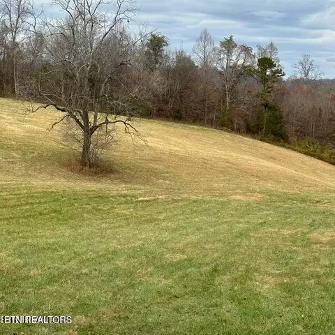 Bob Wright Rd, Maynardville, TN 37807 photo 8