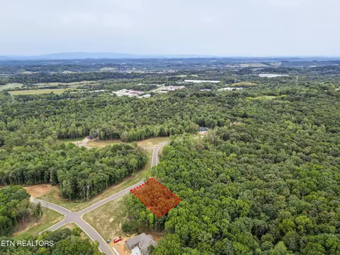 239 Flip Flop Way, Loudon, TN 37774