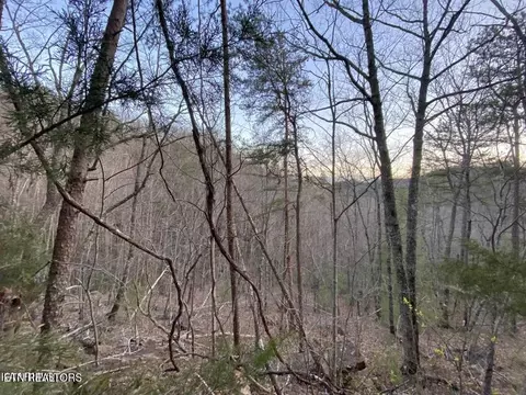 Beechwood St, Sevierville, TN 37876