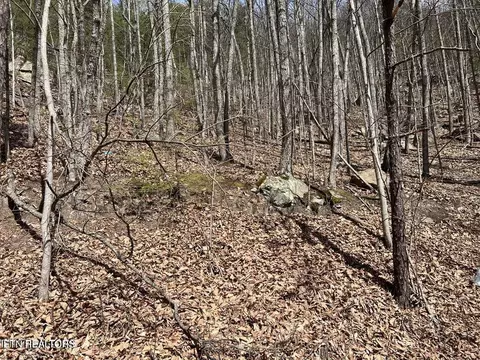 clingmans view LOT 18, Sevierville, TN 37876