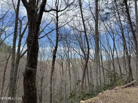 john sevier drive, Sevierville, TN 37876