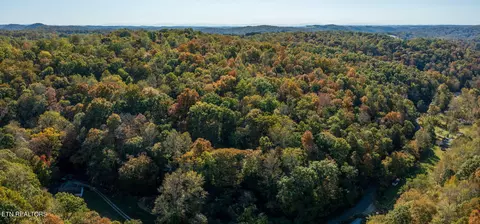 Strong Hollow Lane, Rocky Top, TN 37769