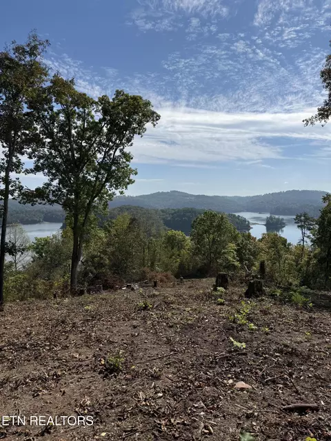 lot264 Lakeview Dr, Sharps Chapel, TN 37866