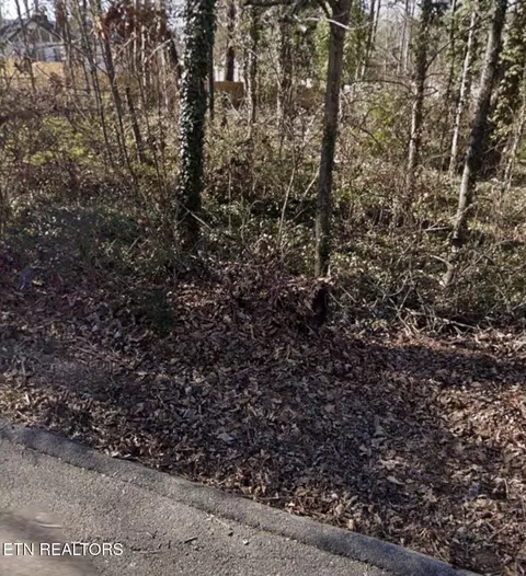 301 Wilona Ln, Knoxville, TN 37922