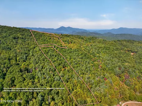 000 Reece Hollow Rd, Del Rio, TN 37727
