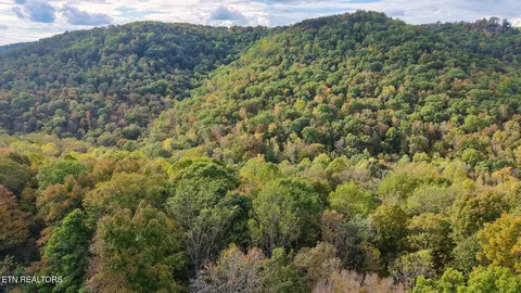 Apache Rd, Jamestown, TN 38556 photo 55