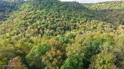 Apache Rd, Jamestown, TN 38556 photo 53