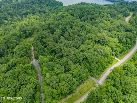 Crystal Springs Rd, Rockwood, TN 37854