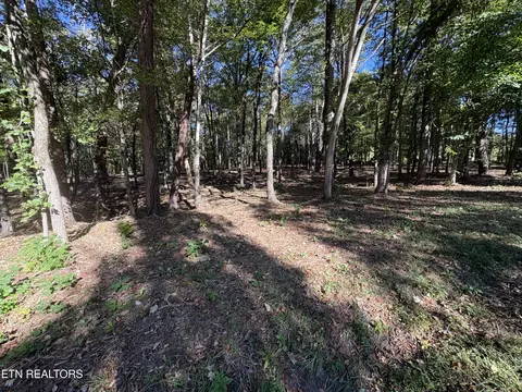 0 Town Creek Rd, Lenoir City, TN 37772