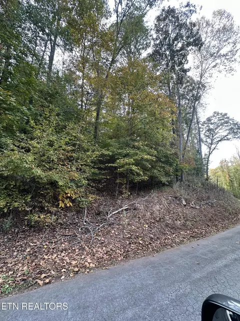 Wrights Ferry Rd, Louisville, TN 37777