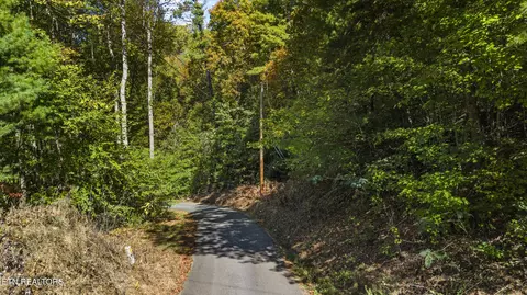 S King Branch Rd, Sevierville, TN 37876