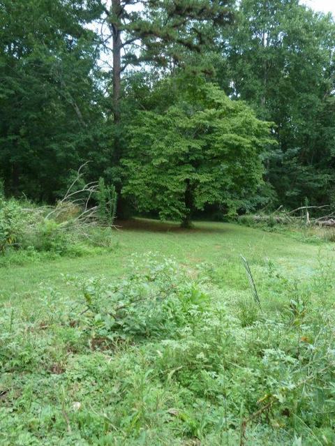 8224 Ewing Rd, Powell, TN 37849 photo 2