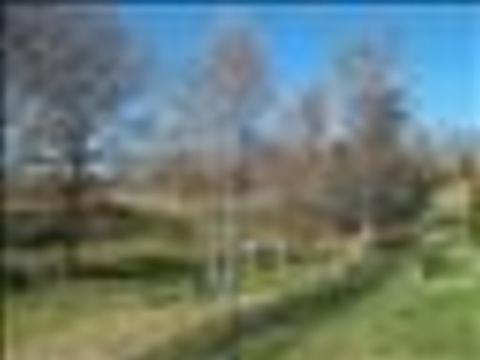 1080 E Wolf Vly, Heiskell, TN 37754 photo 1