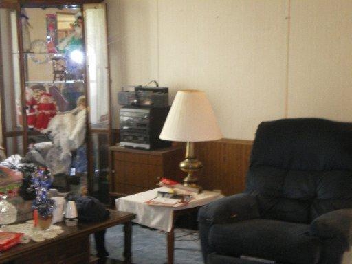 1255 Shellotte, Pall Mall, TN 38577 photo 9