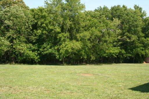 220 Franklin Estates Ln, Greenback, TN 37742 photo 26