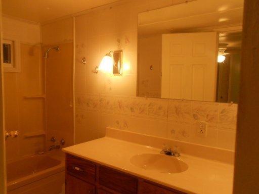 207 Red Wing, Deer Lodge, TN 37726 photo 20