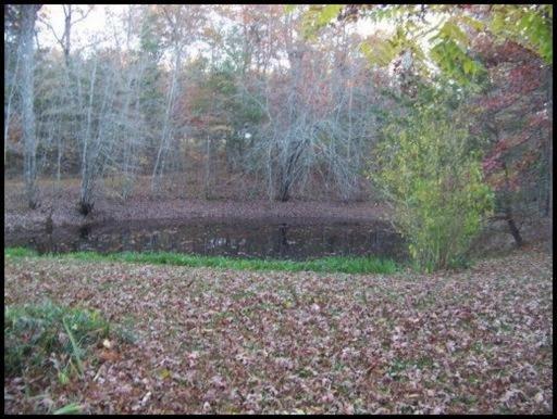 207 Red Wing, Deer Lodge, TN 37726 photo 4