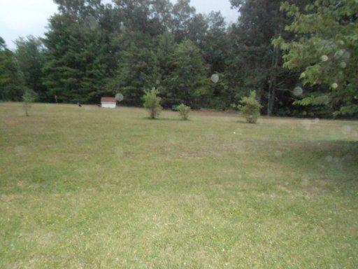 207 Red Wing, Deer Lodge, TN 37726 photo 22