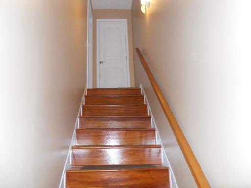 607 Baye Rd, Rutledge, TN 37861 photo 19