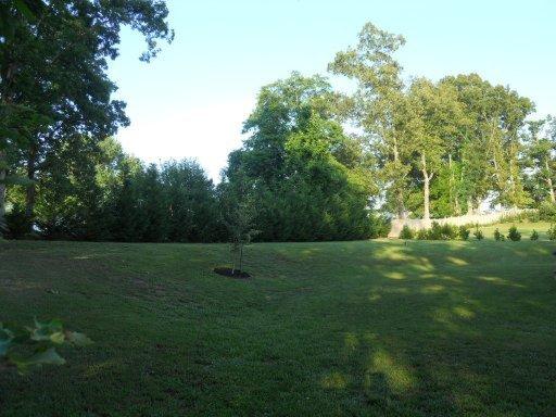 607 Baye Rd, Rutledge, TN 37861 photo 11