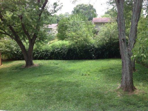 7801 Castlecomb, Powell, TN 37849 photo 6