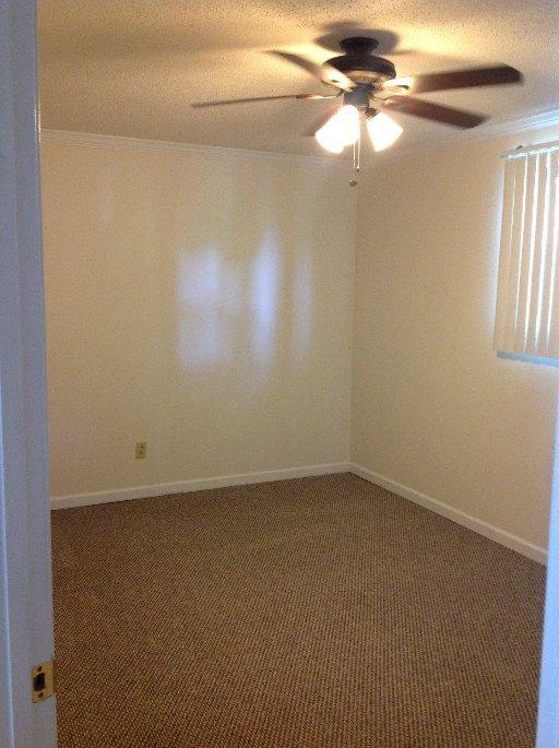 7801 Castlecomb, Powell, TN 37849 photo 23