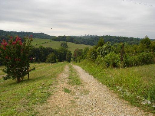 1425 Calloway Rd, Loudon, TN 37774 photo 15