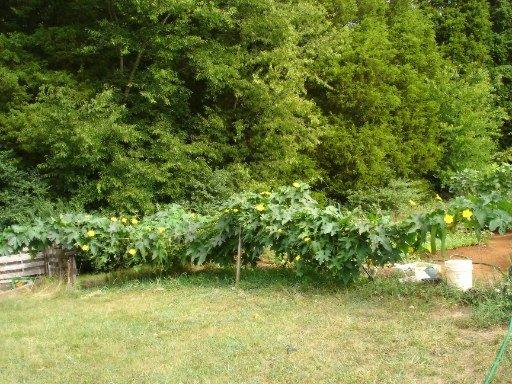 1425 Calloway Rd, Loudon, TN 37774 photo 20