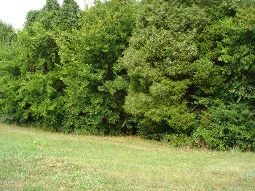 1425 Calloway Rd, Loudon, TN 37774 photo 18
