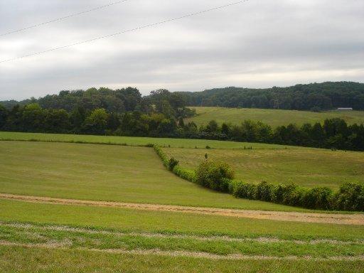 1425 Calloway Rd, Loudon, TN 37774 photo 16