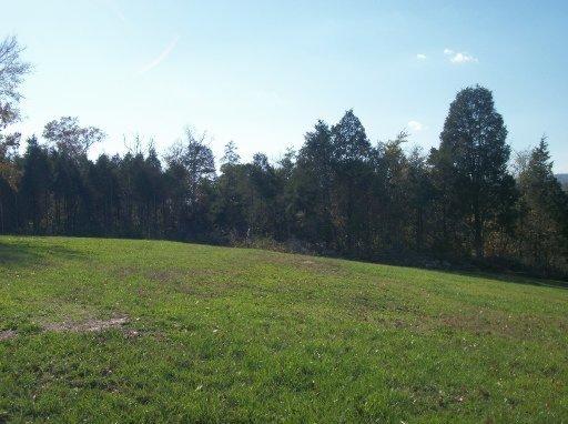222 Double Cave Rd, Rutledge, TN 37861 photo 8