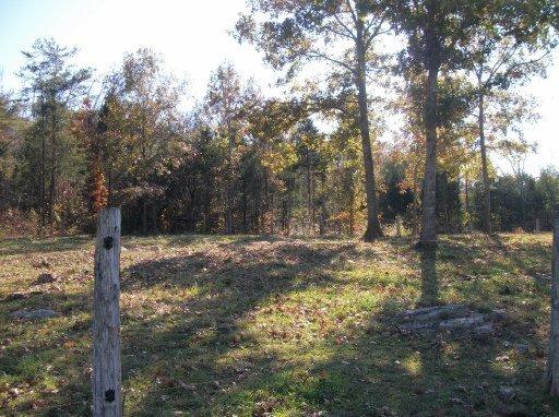222 Double Cave Rd, Rutledge, TN 37861 photo 10