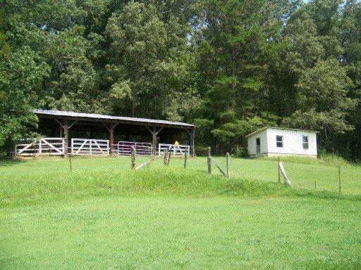 1116 Lambert Rd, Greenback, TN 37742 photo 5