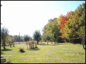 2099 Genesis Rd, Lancing, TN 37770 photo 5