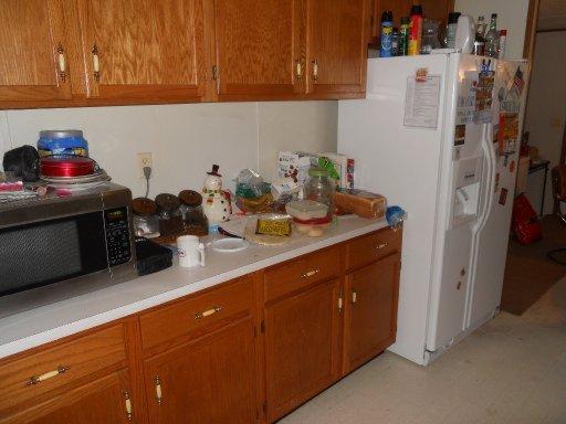 3239 Rain Dr, White Pine, TN 37890 photo 8