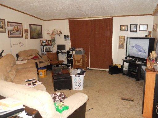 3239 Rain Dr, White Pine, TN 37890 photo 4