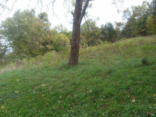 3076 Wilderness Rd Dr, Ewing, VA 24248 photo 14