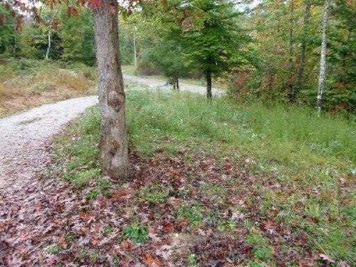 857 Jane Phillips Rd, Oneida, TN 37841 photo 11